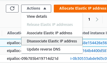 Elastic IP disassociate